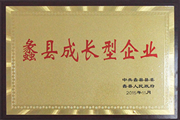 蠡县成长企业