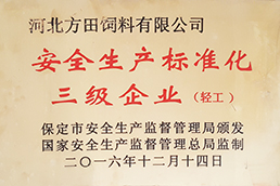 安全生产标准化三级企业