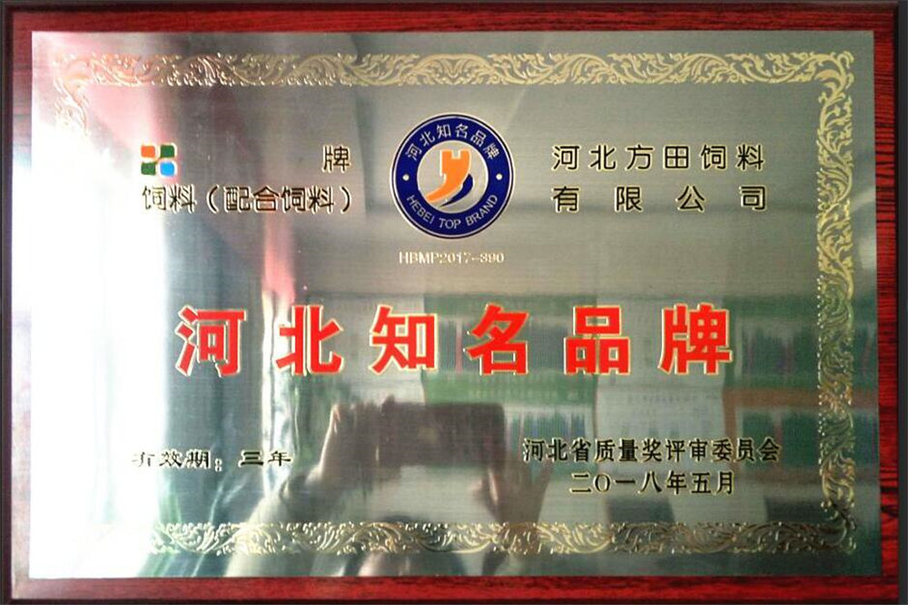 河北知名品牌