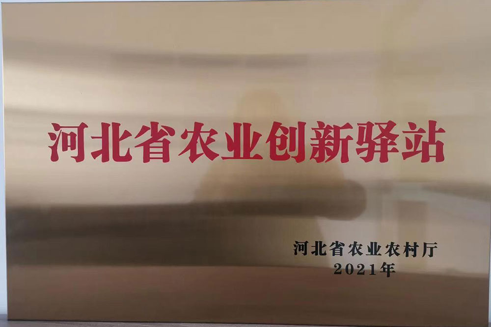 2021年创新驿站