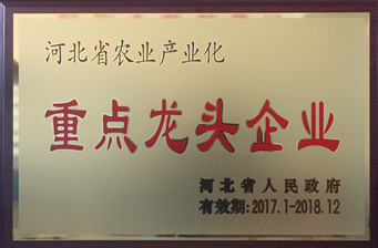 龙头企业9_副本1.jpg