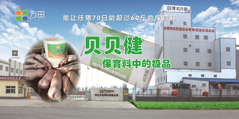 06_副本.jpg