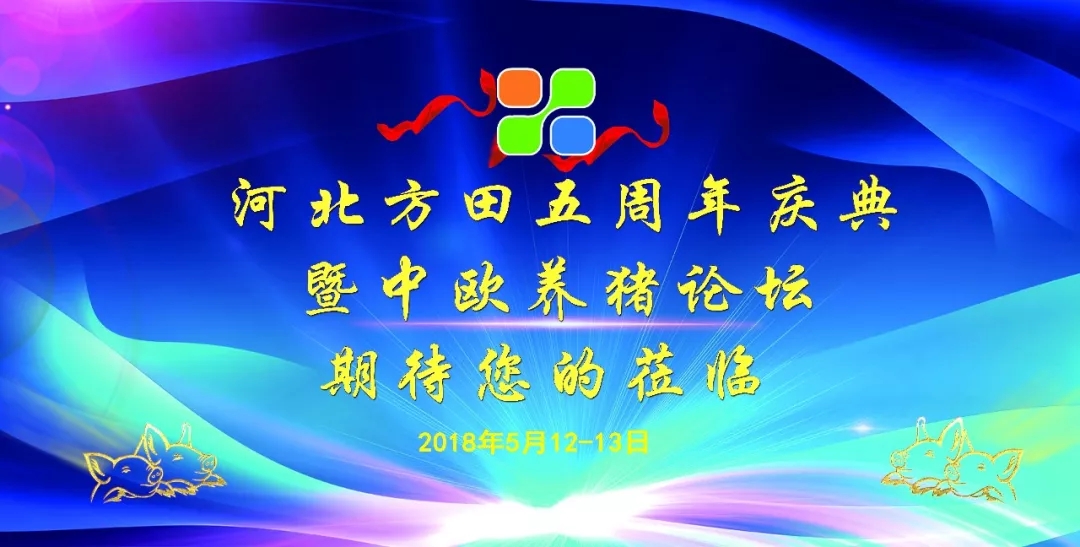 640.webp.jpg